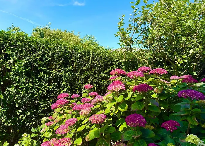 بيت للعطل Inselblick Dunsum